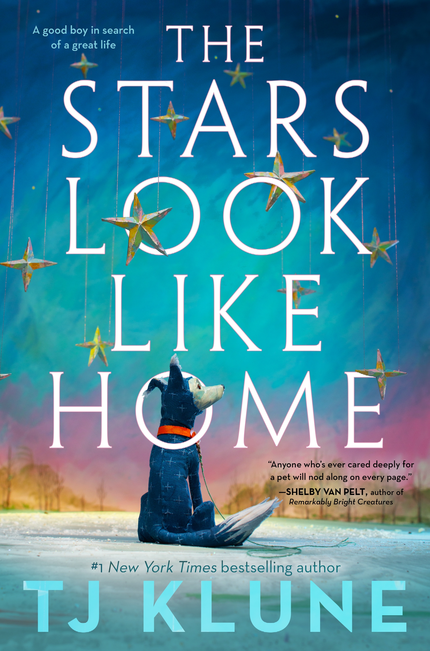 Read The Stars Look Like Home