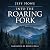 Into the Roaring Fork