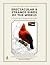 SPECTACULAR & STRANGE BIRDS OF THE WORLD by Inkspire Studio