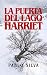 La Puerta del Lago Harriet by Pablo Silva