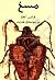 مسخ by Franz Kafka