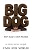 Big Dog: Not Man's Best Friend