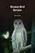 Bronze Bird Review: Issue T...