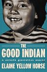 The Good Indian by Elaine Yellow Horse