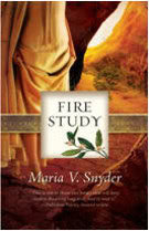 Fire Study US Cover
