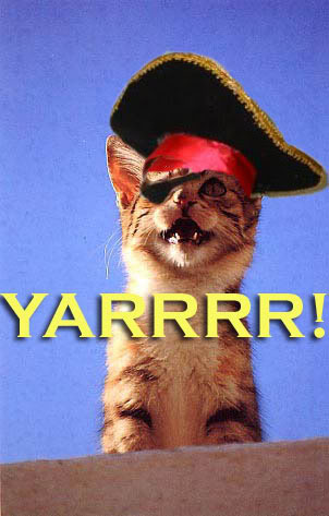 PIRATE KITTEN!!!! Pictures, Images and Photos