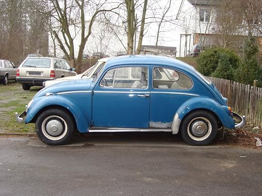 bug Pictures, Images and Photos