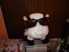 C.Cow Pictures, Images and Photos
