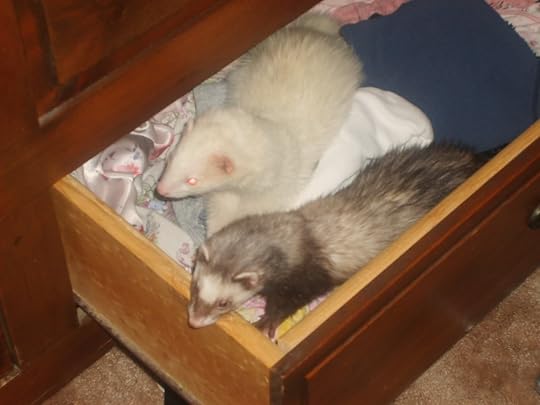 Image and video hosting by TinyPic