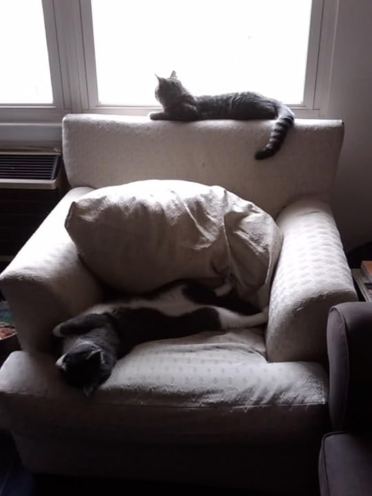 Image and video hosting by TinyPic