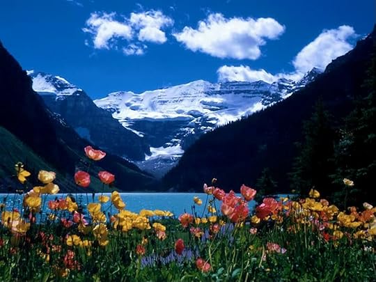 flower Pictures, Images and Photos