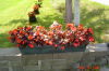 Free Image Hosting at www.picturetrail.com