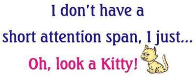MyHotComments.com