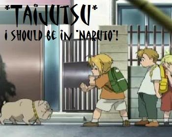 taijutsu and FMA Pictures, Images and Photos