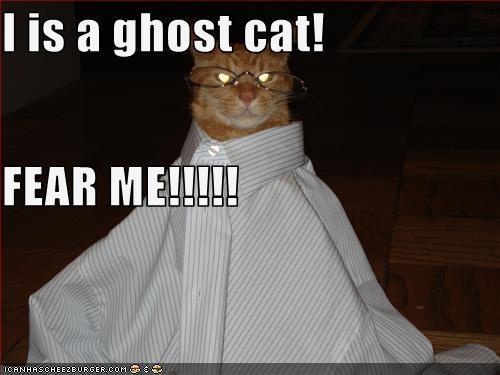 funny pictures