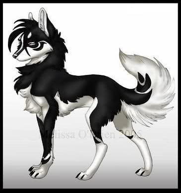 Image and video hosting by TinyPic