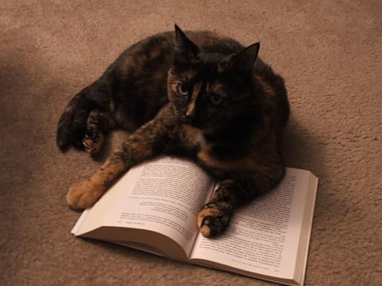 Q reading 'The Cider House rules'