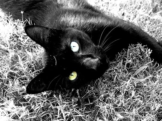 Smokey Pictures, Images and Photos