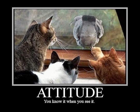 ATTITUDE Pictures, Images and Photos