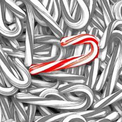 color splash Pictures, Images and Photos