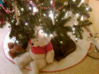 Christmas present Gypsy