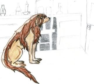 first chimera that i ever drew from FMA Pictures, Images and Photos