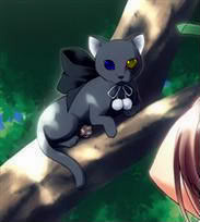 Anime cat Pictures, Images and Photos