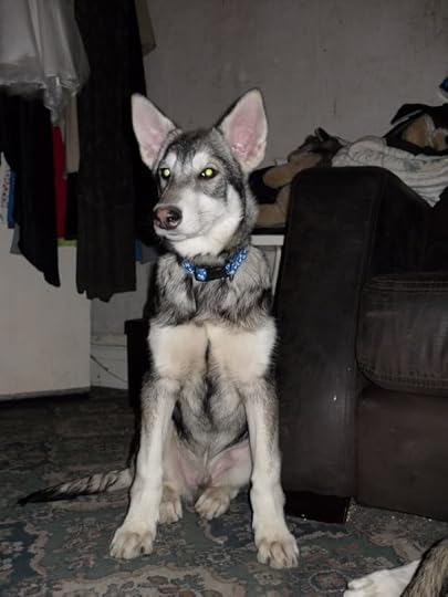 Brock Pictures, Images and Photos