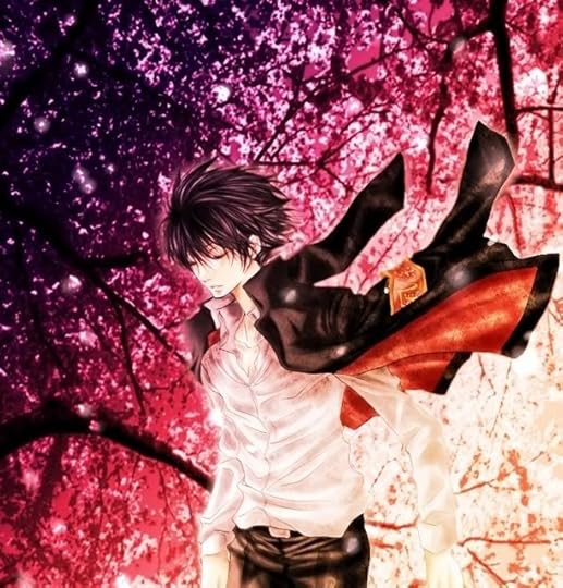 Walk Under Cherry Blossoms Pictures, Images and Photos