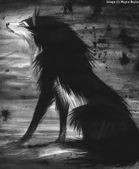 Black Wolf Pictures, Images and Photos