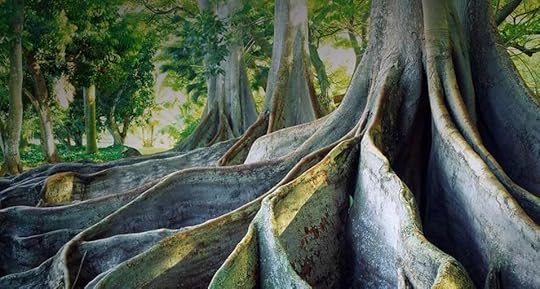 Ficus