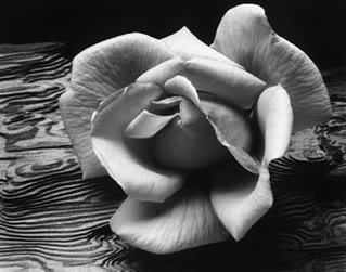 Ansel Adams Pictures, Images and Photos