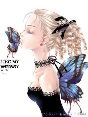 Butterfly Wings Kiss Images