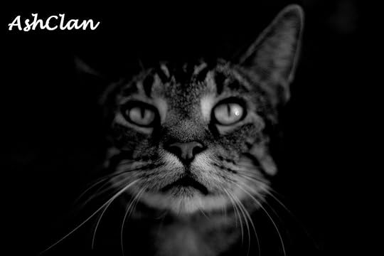 AshClan Pictures, Images and Photos