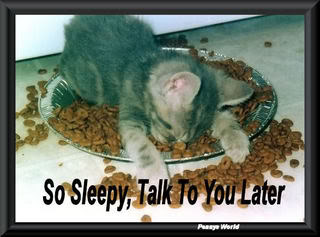 sweet dreams Pictures, Images and Photos
