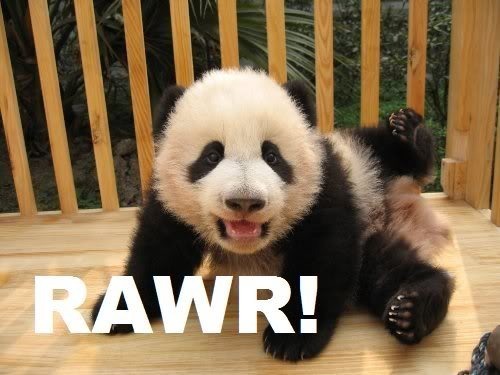rawr Pictures, Images and Photos