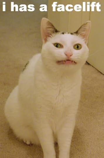 Facelift Cat Pictures, Images and Photos