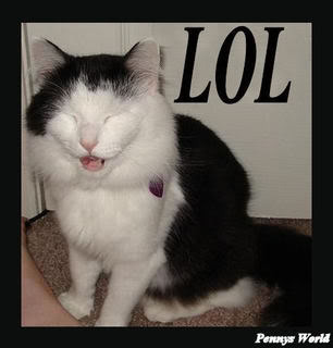 Funny Cats,Caption Pictures, Images and Photos