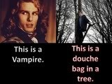 Vampire,Lestat,anti-Twilight