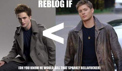 EDWARD CULLEN sucks