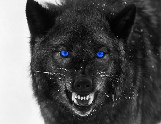 Blue Eyes Pictures, Images and Photos