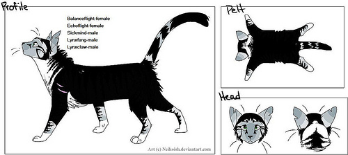 123manykittie
