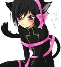 neko gift Pictures, Images and Photos
