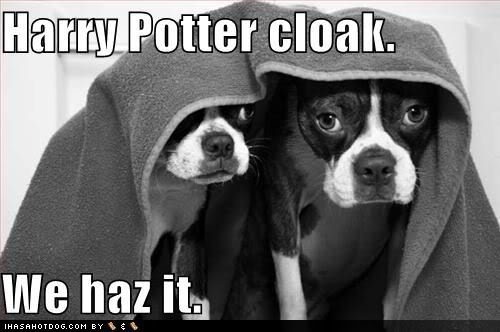 harry potter loldogs Pictures, Images and Photos