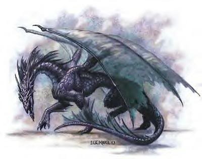 Smoke Dragon Pictures, Images and Photos