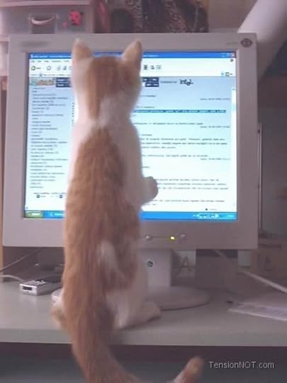 Computer Cat