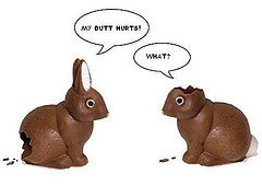 bunnies-762083.gif