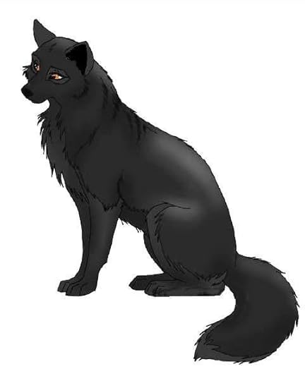 wolf black Pictures, Images and Photos
