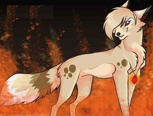 Star {Wolf Form} Pictures, Images and Photos