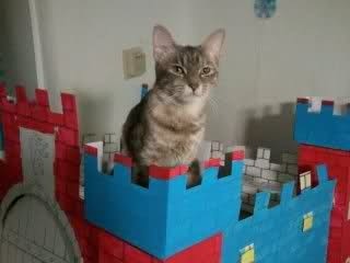 Image and video hosting by TinyPic